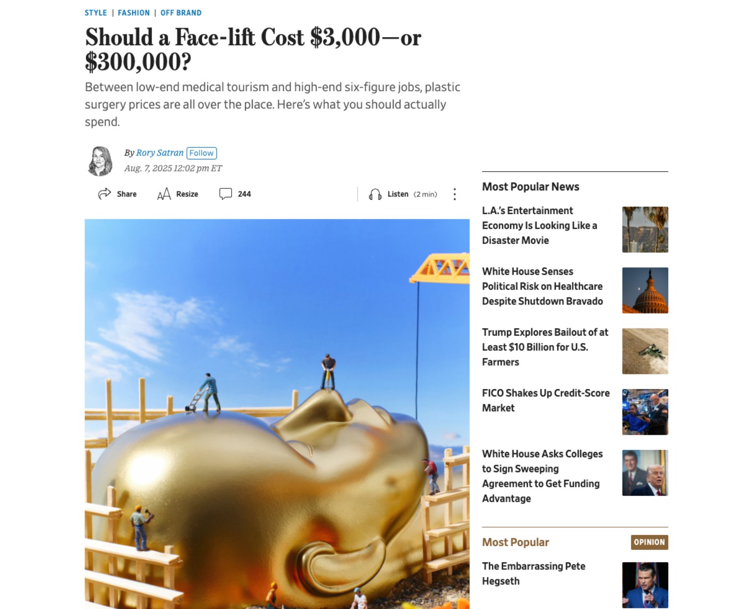 Plastic Surgery article